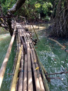 Mangrove Bridge UKNP